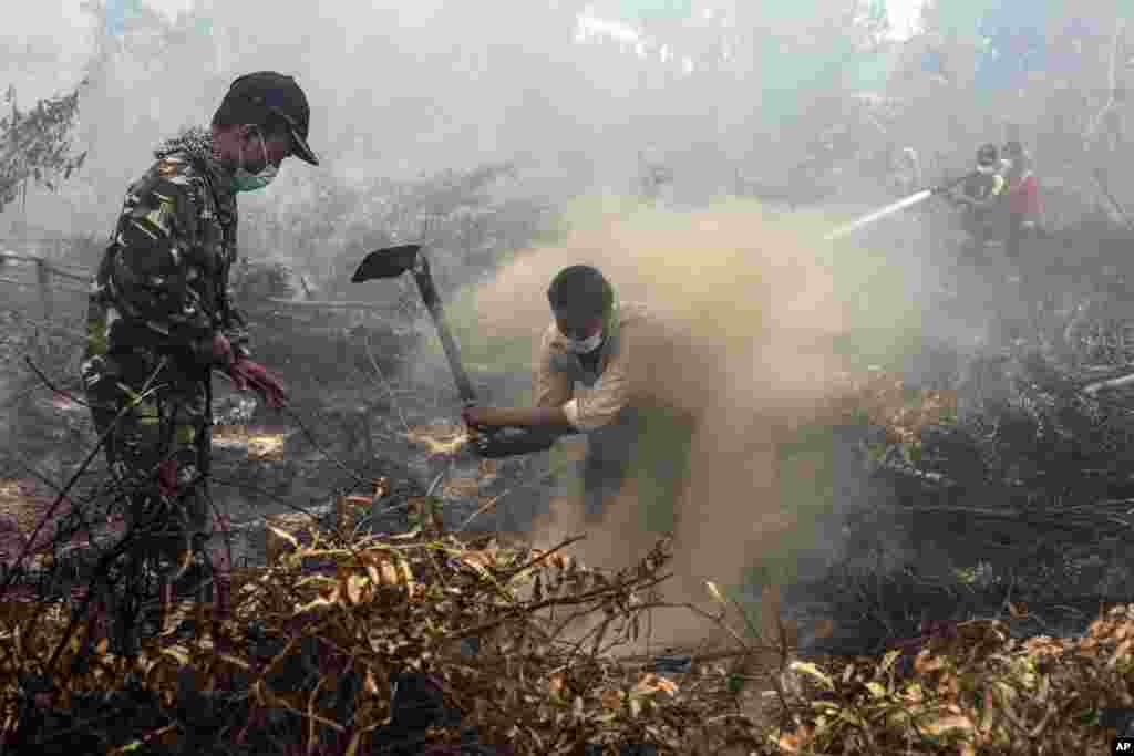 Penduduk desa dan anggota militer memadamkan kebakaran di lapangan di Rimbo Panjang, provinsi Riau, Indonesia. Kebakaran hutan ini disebabkan oleh pembukaan lahan ilegal di pulau Sumatra dan Kalimantan yang seringkali menyebarkan asap yang menyebabkan sesak nafas ke negara-negara tetangga.