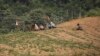 FAO, 북한 올해 쌀 140만t 수확…지난해 대비 30만t 감소