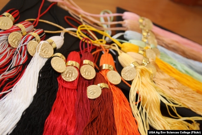 Tassels representing the different majors at the University of Georgia are shown in a graduation photo.