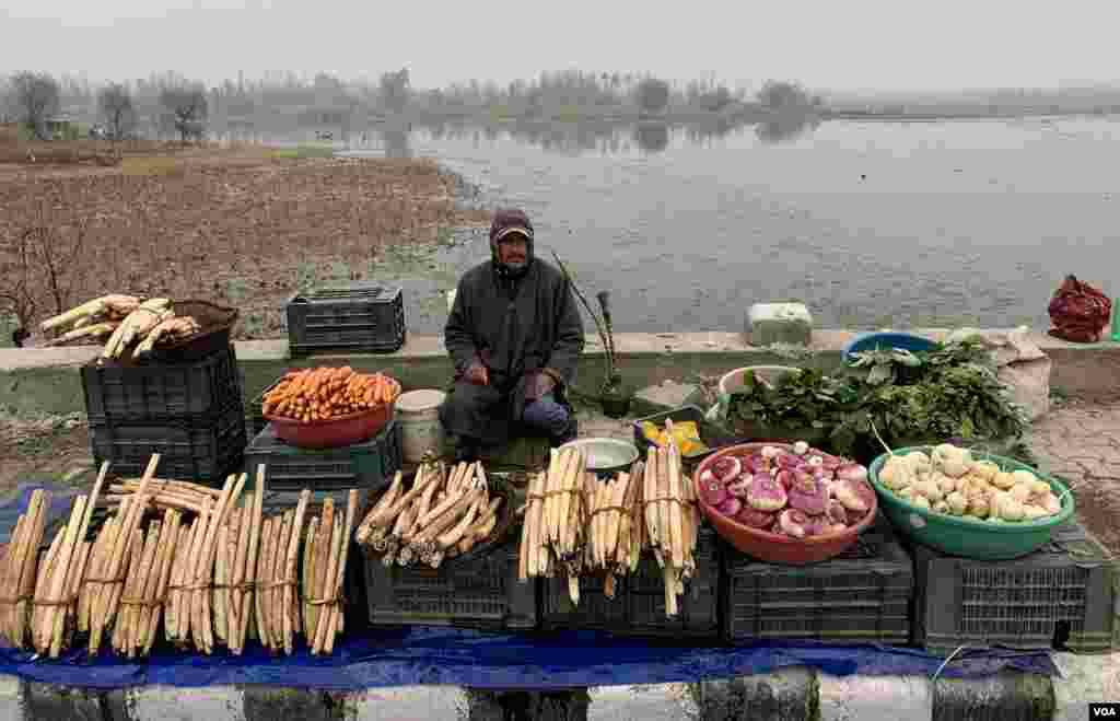 کنول کے پھول کی جڑ کو بھارتی کشمیر کی معروف سبزیوں میں شمار کیا جاتا ہے۔
