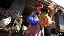 Seorang penjual memegang seekor ayam di pasar hewas di Shanghai, China (2/4). Ibukota keuangan China tersebut mengaktifkan rencana tanggap darurat menyusul tewasnya dua orang akibat flu burung H7N9.