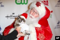 Grumpy Cat arrives at the 84th Annual Hollywood Christmas Parade on Sunday, Nov. 29, 2015, in Los Angeles.