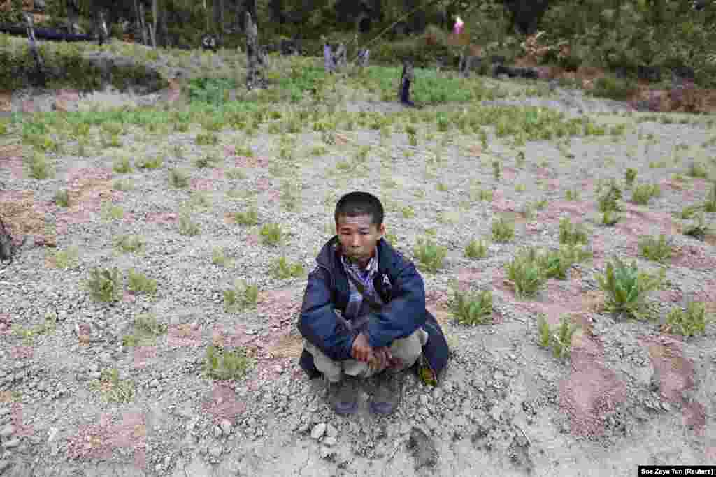 Birmânia: Eike Tun, 40 anos, trabalha num campo de ópio. Ganha $200 por época de colheita.