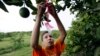 Brazil, US Identify Molecule to Help Fight Citrus Greening