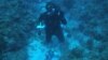 Max Kaplan setting up an autonomous device to record the reef sound, a proxy measurement of coral reef biodiversity in U.S. Virgin Islands National Park, (Credit: T. Aran Mooney, Woods Hole Oceanographic Institution)