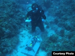 Max Kaplan setting up an autonomous device to record the reef sound, a proxy measurement of coral reef biodiversity in U.S. Virgin Islands National Park, (Credit: T. Aran Mooney, Woods Hole Oceanographic Institution)