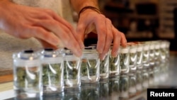 FILE - A variety of medicinal marijuanas in jars at Los Angeles Patients & Caregivers Group dispensary in West Hollywood, Calif., Oct. 18, 2016.