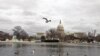 Capitol Hill building in Washington, D.C. (Diaa Bekheet/VOA)