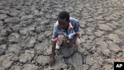 FILE - Last Zimaniwa feels the broken ground at a spot which is usually a reliable water source that has dried up due to lack of rains in the village of Chivi , Zimbabwe, Jan. 29, 2016. Southern Africa's lengthy drought has gotten worse, aid officials say