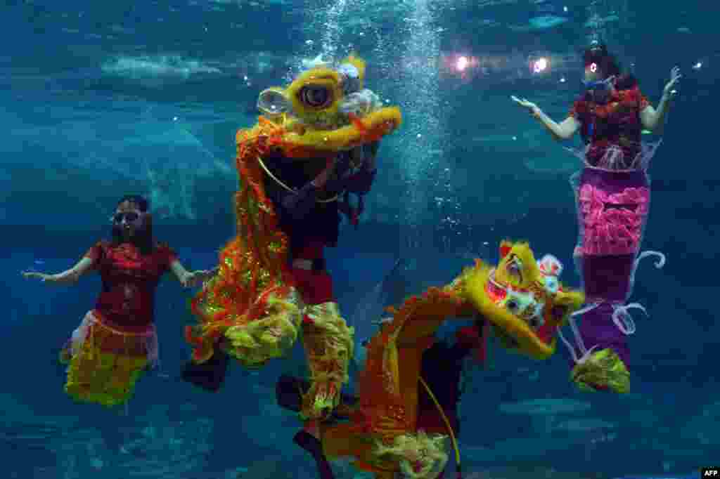 Biểu diễn múa lân dưới nước trong một chương trình đặc biệt chào đón năm mới âm lịch tại công viên Ancol ở Jakarta, Indonesia.