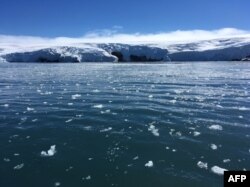 Blocks of ice drift on the water off the coast of Collins glacier on King George Island, Antarctica on Feb. 1, 2018.