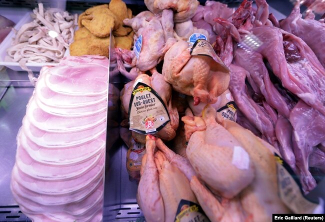 Ayam dan kelinci dipajang di toko daging. (Foto: REUTERS/Eric Gaillard)