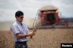 Farmer Julimar Pansera inspects plants during the soy harvest near the town of Campos Lindos, Brazil, Feb. 18, 2018.