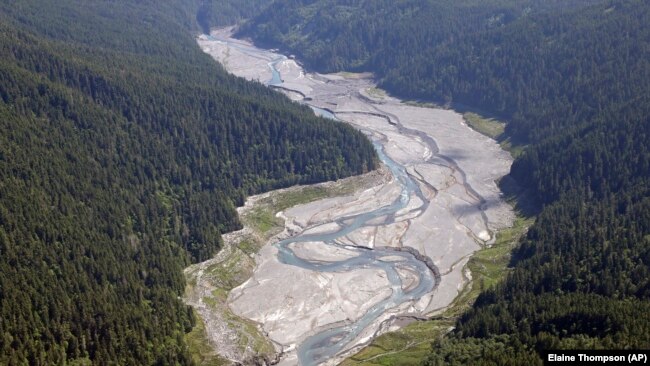 Elwha River Rebirth