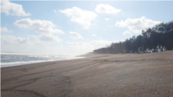 Pantai Goa Cemara, Bantul, DIY, tanpa pengunjung di masa PPKM Darurat. (Foto: VOA/Nurhadi Sucahyo)