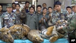 Thai navy officers and forestry officials display dead tigers and leopards seized after a raid on an illegal wildlife trade on the bank of Mekong river in That Phanom district of Nakhon Phanom province, northeastern Thailand (2008 file photo)