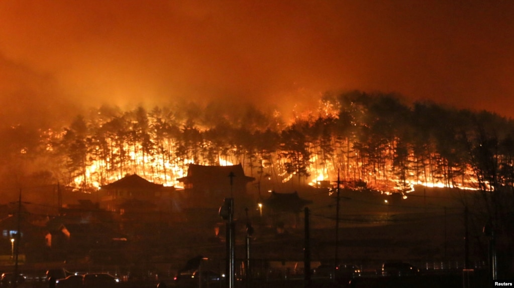 Kobaran api terlihat saat kebakaran hutan di Donghae, Korea Selatan, 5 April 2019. (Foto: Yonhap via REUTERS)