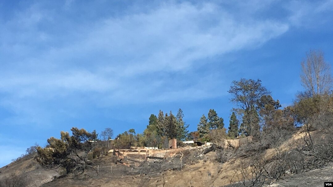 Cháy rừng ở California