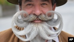 A participant poses for photographers during the "World Beard Championship" in Leogang, in the Austrian province of Salzburg, Sunday, Oct. 4, 2015.