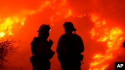 A photo released by Santa Barbara County Fire Department on Dec. 10, 2017 shows firefighters working on structure protection while keeping a close eye on nearby flames atop Shepard Mesa Road in Carpinteria, Calif.