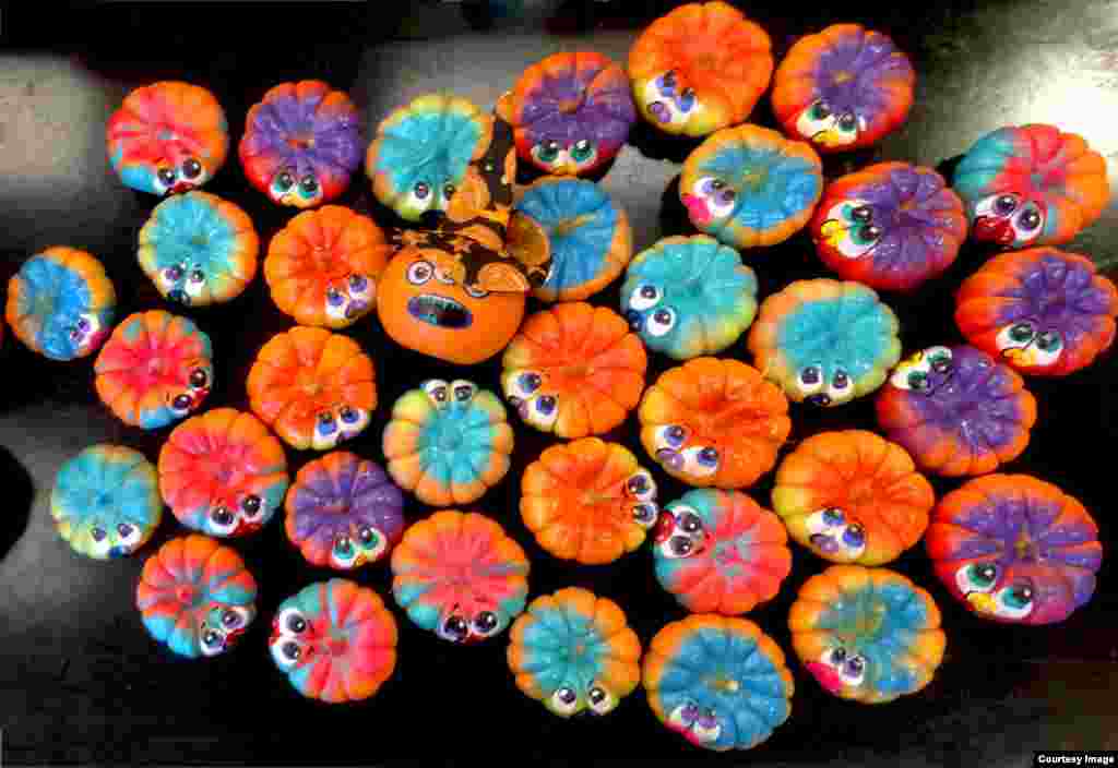 Cadılar Bayramı için boyanmış minik kabaklar