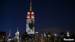 An image of Cecil the lion is projected onto the Empire State Building as part of an endangered species projection to raise awareness, in New York August 1, 2015. 
