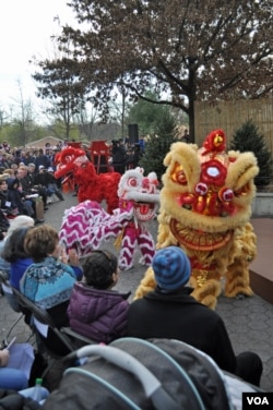 Lion dancers at the panda naming ceremony at the National Zoo, Washington, Dec. 1, 2013. (David Byrd/VOA)