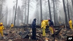 Tras una breve demora por un aguacero varios voluntarios continúan buscando restos humanos entre las cenizas de un parque de casas rodantes en Paradise, California. Nov. 23, 2018.