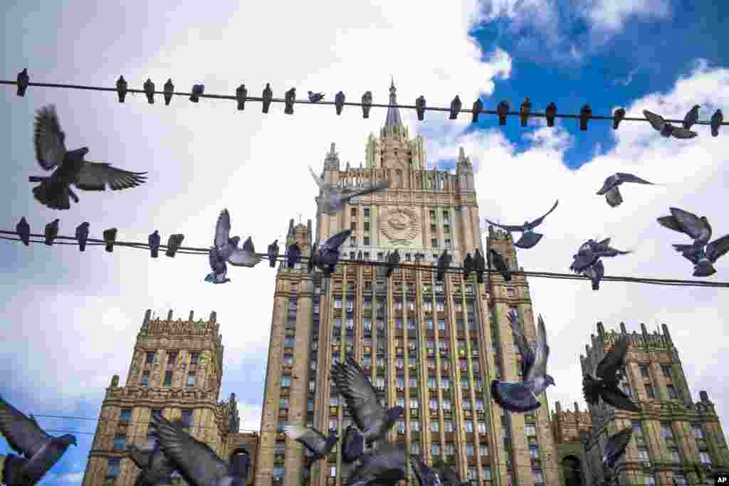 Pigeons take off from wires in front of the Russian Foreign Ministry building, in Moscow.