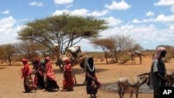 Somalia: Drought Brings Water Shortages, High Food Prices