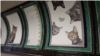 بیلبوردهای تبلیغاتی مترو لندن به تسخیر گربه ها درآمد