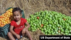 "Feed the Future" shiri ne da Gwamnatin Amurka ta bullo da shi don yakar bala'in yunwa da kuma samar da abinci a duniya (Photo: USAID)