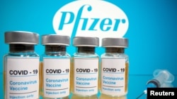 輝瑞製藥公司研製的新冠病毒疫苗。