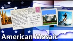 American Mosaic