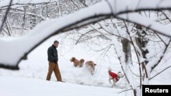 Čovek u šetnji sa svojim psima u njujorškom Central parku