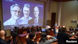 Thomas Perlmann, Secretary-General of the Nobel Committee, presents the Nobel laureates, William G. Kaelin Jr, Sir Peter J. Ratcliffe and Gregg L. Semenza, of this year's Nobel Prize in Medicine during a news conference in Stockholm, Sweden, October 7, 2019.