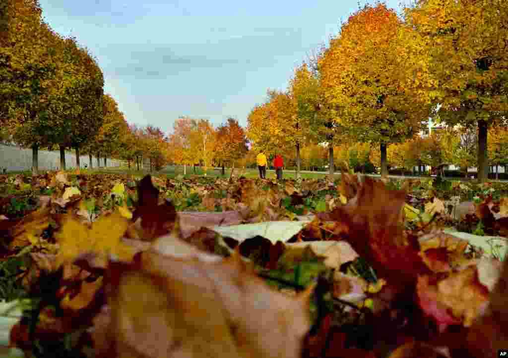 People walk through a park with colorful trees and fallen leaves in Frankfurt, Germany, November 5, 2018.