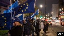Anti-Brexit supporters hold European Union flags as they demonstrate outside the Houses of Parliament on Jan. 14, 2019. 