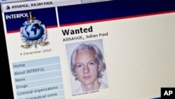 View of the Interpol "wanted" page for WikiLeaks founder Julian Assange taken in Washington, 3 Dec 2010