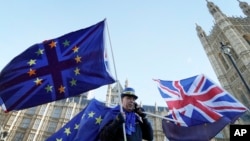 Пікетувальник під британським парламентом протестує проти "Брекзиту". Лондон 8 грудня 2017р.