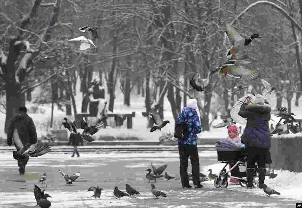 قدم زدن در یک پارک در مینسک بلاروس به هنگام بارش برف