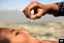 FILE - An Afghan health worker vaccinates a child as part of a campaign to eliminate polio, on the outskirts of Kabul, Afghanistan, April 18, 2017.