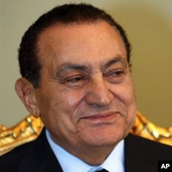 Egypt Presidential Election 2011, Contenders