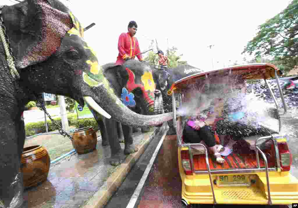 Seekor gajah menyemprotkan air ke arah turis yang sedang menaiki mobil roda tiga, atau Tuk Tuk, di Ayutthaya, Thailand.