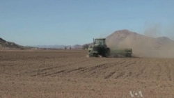 California Drought Could Impact World Food Prices