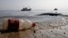 Cómo el plástico daña los océanos