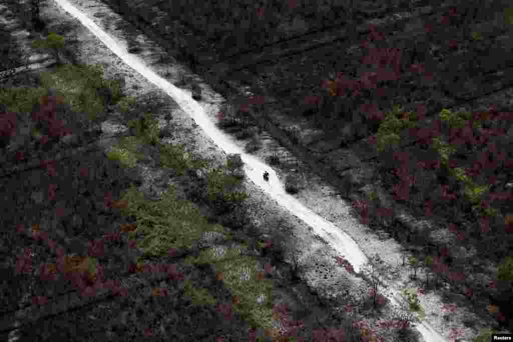 A motorist rides a motorbike on a road through an area burnt due to the forest fires near Banjarmasin in South Kalimantan province, Indonesia.