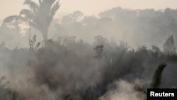 Asap tampak mengepul di lokasi kebakaran hutan di Humaita, Amazon, Brazil (14/8). 