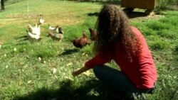Farm is Refuge for Mistreated Animals