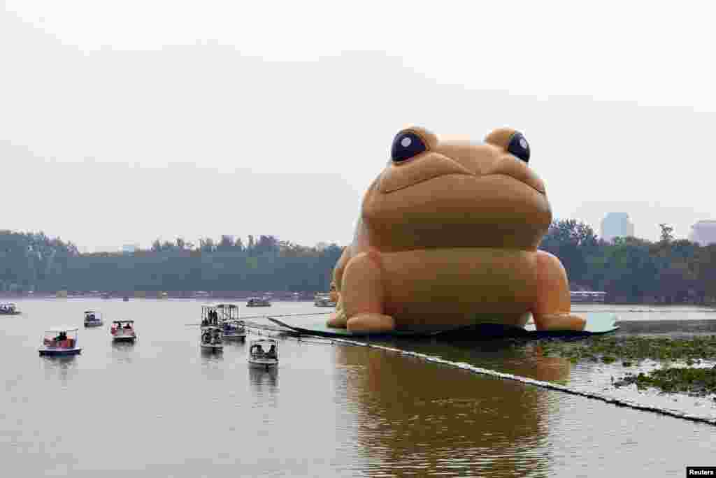 A giant inflatable toad is seen floating on a lake at Yuyuantan Park in Beijing, July 19, 2014. The 22-meter (72.2-feet) tall &quot;golden toad&quot; represents wealth and good fortune in traditional Chinese culture.